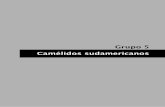 Grupo 5 Camélidos sudamericanos - alpa.org.vealpa.org.ve/PDF/Arch 15 Supl/s_camelidossudamericano.pdf · ... en lo referente a peso vellón, ... - Disponer de una variabilidad de