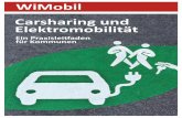 WiMobil Carsharing und Elektromobilität - erneuerbar … · 3 E-Carsharing in Deutschland Parken Laden Kommunikation Empfehlungen Künft igen Generati onen eine gesunde und lebenswerte