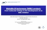 Metallo-β-lactamase (MBL) project˜rjan Samuelsen MBL project India... · Metallo-β-lactamase (MBL) project: From molecular biology to the development of an ... development of antibiotics