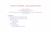 Tritium in Tokamaks - past, present & futurearies.ucsd.edu/LIB/MEETINGS/0103-ARIES-TTM/Skinner.pdf · Tritium in Tokamaks - past, present & future ... 0.85 g (4/98) 16% ... machine