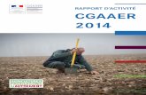 RAPPORT D’ACTIVITÉ CGAAER 2014 - agriculture.gouv.fragriculture.gouv.fr/sites/minagri/files/rapport_activite_cgaaer... · La réforme en cours doit rendre la politique agricole