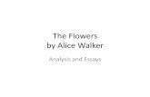 The Flowers by Alice Walkerhs.dibollisd.com/ourpages/auto/2012/7/26/52994233/The Flowers.pdf · wild pink rose. As she picked it to add to her bundle she noticed a raised mound, a