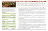 Avoiding Herbicide-Resistant Weeds in Cranberries · Avoiding Herbicide-Resistant Weeds in Cranberries Herbicide resistant weeds have not been as high on the radar for cranberry growers