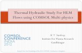 Thermal Hydraulic Study For Heavy Liquid Metal Flows€¦ · Thermal Hydraulic Study For ... of heat transfer correlations to single phase ... Phase Convective Heat Transfer “edited