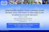 Labour market analysis: Wages (structure, trends, thematic ... · Labour market analysis: Wages (structure, trends, thematic areas and relation to other major issues including decent