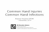 Common Hand Injuries Common Hand Infections - …braemarhospital.co.nz/.../uploads/2014/...infections_Brandon_Adams…Common Hand Injuries Common Hand Infections Braemar Hospital GPCME