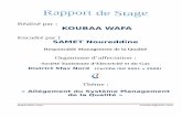 Réalisé par KOUBAA WAFA · 2014-05-28 · distribuer l’énergie électrique ainsi que le transport et la distribution du gaz naturel ... Direction Technique Distribution Service