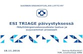 ESI TRIAGE päivystyksessä - sehl.fi · ESI TRIAGE päivystyksessä-Näyttöönperustuvuudesta laatua ja sujuvammat prosessit Sanna Kallankari TtM, ensihoitaja AMK 18.11.2016