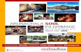 Soul Pilgrimage Agosto 2016 - milindias.com · La montaña sagrada Arunachala, situada en la ciudad de Tiruvannamalai, es considerada como la manifestación física del Dios Shiva,