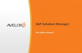 SAP Solution Manager - avelor.com.bravelor.com.br/imgs/Apresentação SAP Solution Manager - ASUG... · Desafio das empresas SAP Solution Manager: por onde começar? CONTINUIDADE