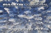 BULLETIN COMMUNAL - Accueil · 2 2 Bulletin Communal | Janvier 2018 LE MOT DU BOURGMESTRE Thierry de BOURNONVILLE Le Bourgmestre Chères Concitoyennes, Chers …