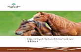 Djurskyddsbestämmelser Häst - jordbruksverket.se€¦ · 5 Om djurskyddsbestämmelserna I denna broschyr kan du läsa om hur du ska hålla och sköta din häst. Vi informerar inte