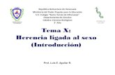 Presentación de PowerPoint - biologiastv.weebly.combiologiastv.weebly.com/.../tema_x._herencia_ligada_al_sexo.pdf · Tema X: Herencia ligada al sexo (Introducción) República Bolivariana