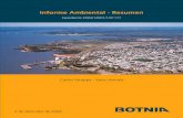 Se presenta a continuación el Informe Ambiental Resumen de ...³n... · Se presenta a continuación el Informe Ambiental Resumen de la empresa BOTNIA S.A. y BOTNIA ... secas por