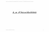 La Flexibilité - garfield576.free.frgarfield576.free.fr/flexibilite.pdf · Comment augmenter la flexibilité dans l’entreprise ? L’arbitrage employeur-employé Gestion du Personnel