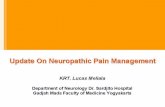 clinicalupdates2010.files.wordpress.com · Adanya gangguan fungsi sistem saraf dimana dalam ... fluid Joint capsule Synovial membrane Cartilage . FUNCTIONAL PAIN Spontaneous Pain