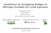 Guidelines for Designing Bridges in Michigan Suitable …ctt.mtu.edu/sites/ctt/files/resources/bridge2018/08_eamon.pdf · Cost Analysis Agency Costs ... box beam, and bulb tee bridges