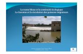 La trame bleue et la continuité écologique La Garonne … · Ascenseur à poissons. Journée technique Trame Verte et Bleue CATeZHGaronne -120614 ... Convention Etat/Région MP/Agence