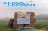 ECHOS Été 2009 LOOSSOIS - loos-en-gohelle.fr · au programme: stands associatifs, cultures polonaise, finlandaise, italienne, espagnole et fran - çaise, chants, danses, musique,