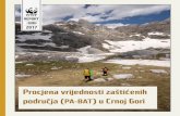 Procjena vrijednosti zaštićenih područja ( ) u Crnoj Gorid2ouvy59p0dg6k.cloudfront.net/downloads/pa_bat_report_2017_cg_we… · proizvodnja meda i divlje jestivo bilje poslovi