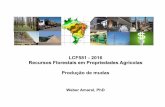 LCF581 - 2016 Recursos Florestais em Propriedades ...esalqlastrop.com.br/img/aulas/ReducedAula 3. Producao de mudas.pdf · QUANDO USAR? - Ausência de procedimentos recomendados para