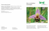 Nos orchidées Petite bibliographie sauvages - Genève · Petite bibliographie Delforge, P. (2007) Guide des orchidées de France, de Suisse et du Benelux, delachaux et niestlé.