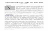 La nidification du Martinet à ventre blanc dans le Rhônefiles.biolovision.net/.../Effraie40/Martinet-ventre-blanc-Rhone.pdf · Espèce polytypique1, le Martinet à ventre blanc