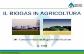 IL BIOGAS IN AGRICOLTURA - … Biogas CIB... · IL BIOGAS Biogas: prezioso combustibile gassoso naturale che nasce dalla fermentazione di materia organica e vegetale, per azione di