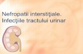 Infecţiile tractului urinar - medclub2.ucoz.romedclub2.ucoz.ro/_sf/1/105_Infeciile_tract.pdf · Antibiotice şi chimioterapice antimicrobiene Amoxicilina Oxacilina Cotrimoxazol Cefalosporine