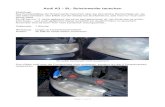 Audi A3 – 8L: Scheinwerfer tauschen - obscurus.de A3 8L Scheinwerfer tauschen.pdf · Audi A3 – 8L: Scheinwerfer tauschen Einleitung: Das Kunststoffglas der Scheinwerfer bekommt