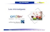 Les microalgues - genoweb1.irisa.frgenoweb1.irisa.fr/OGP/ftp/Presentations_Gen2Bio/... · Metabolisme P.B.A. Laboratoire Physiologie et Biotechnologie des Algues. ... Les plantes