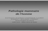 Pathologie mammaire de l’hommepe.sfrnet.org/Data/ModuleConsultationPoster/pdf/2010/1/375f3cf1-cb... · - Ecoulement? => lactescent, ... l’aromatisation périphérique des androgènes