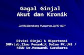Gagal Ginjal Akut dan Kronik - Hemodialisa's Blog | … · PPT file · Web view2010-08-24 · Gagal Ginjal Akut dan Kronik Dr.HM.Bambang Purwanto,SpPD-KGH Divisi Ginjal & Hipertensi