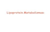 Lipoprotein Metabolizması - istanbultip.istanbul.edu.tristanbultip.istanbul.edu.tr/ogrenci/wp-content/uploads/2017/03/... · • Kolesterol, insandaki majör sterol olup, hücre