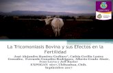La Tricomoniasis Bovina y sus Efectos en la Fertilidadfz.uach.mx/noticias/2017/10/23/La Tricomoniasis Bovina y su... · Revisión: Historia y Prevalencia de Tricomoniasis Bovina ...