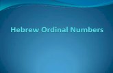 Hebrew Ordinal Numbers - WordPress.com · Hebrew Ordinal Numbers Hebrew ordinal numbers are adjectives. When used attributively, they follow the noun and usually agree in definiteness