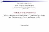 Trastuzumab (Herceptin®) - biotec.campusnet.unito.it · Apparato Respiratorio:asma, aumento della tosse, dispnea, epistassi, disturbi polmonari, faringite, rinite, sinusite ... •