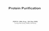 Protein Purification - EMBL Hamburg · First Step of Protein Purification in Practice ... Kation exchange matrix: SP-sepharos, Mono-S, SOURCE-S, RESOURCE-S, etc. Gel Filtration Solvent