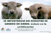 CERTIFICACIÓN - arp.org.py y BA.pdf · operaciones de producción conjunta, matadero $ 600/dia/inspetor. Tasas de certificación* (mensual) ... vacunos, cerdos y gallinas / pollos