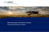 BDI-Strategie Subsahara-Afrika · die Länder Subsahara-Afrikas laut »Africa Competitiveness Report 2013« in den Bereichen Institutionen, Infrastruktur, makroökonomi-