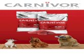 CARNIVOR - Hornsyld Købmandsgaard · ordinær smag som din hund vil elske. HUNDEFODER MED LAM, RIS & FERSK KØD ... Vitamin A 12000 i.e. Vitamin D3 1200 i.e. Vitamin E 120 mg