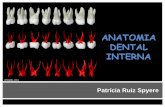 ANATOMIA DENTAL INTERNA - … dental interna.pdf · Patrícia Ruiz Spyere Anatomia Dental Interna Adequada intervenção endodôntica Co-nhecimento detalhado da configuração den-tal