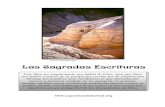 Cuevas del Qumrán Las Sagradas Escriturasesperanzadeisrael.org/publicaciones/pdf/134. Las Sagradas... · 1 Cuevas del Qumrán Las Sagradas Escrituras Este libro no simplemente nos