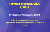 MENOPAUSE DI INDONESIA: GLOBALISASI DAN …staff.ui.ac.id/system/files/users/budi.iman/material/... · Pasca radiasi / histerektomi radikal. ... Operasi (bila konservatif gagal) ...