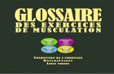 DES EXERCICES DE MUSCULATION - bodymuscle.frbodymuscle.fr/.../2015/01/Glossaire-musculation-anglais-francais.pdf · En effet, les exemples d’exercices et de programmes de musculation