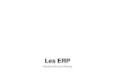 ERP - itformation.comitformation.com/iir5/ERP1.pdf · Plan • L'entreprise – Structure – Environnement – Organisation • Etude de cas OpenERP • Les ERP – Définition –