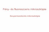 Szuperrezolúciós mikroszkópia - physiology.elte.huphysiology.elte.hu/.../Neurobiologia_merestech/mikroszkopia6_2017.pdf · Szuperrezolúció: nanométeres mérettartomány 2. nagy