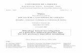 Rheology based investigation of a polymer-mineral …aurore.unilim.fr/theses/nxfile/default/80dadd89-fb07-4918-8b88-5fd... · Discipline : Matériaux Céramiques et Traitements de
