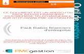 Pack Ratios financiers d'entreprise - i.pme-gestion.fri.pme-gestion.fr/outils-gestion/8.pdf · Guide utilisateur de l’outil Liasse fiscale et indicateurs de gestion 2 Ce document