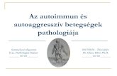 Az autoimmun és autoaggresszív betegségek pathologiájasemmelweis.hu/patologia2/files/2017/11/HU_Glasz-T-Az-autoimmun... · Autoimmun orchitis 6. Primér biliáris cirrhosis 7.